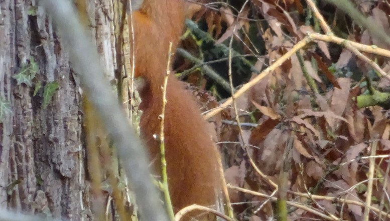 Aufruf zum Fotowettbewerb „Augenblick Natur!“