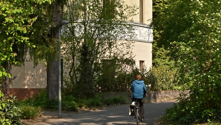 Cheltenhampark zukunftsfähig machen