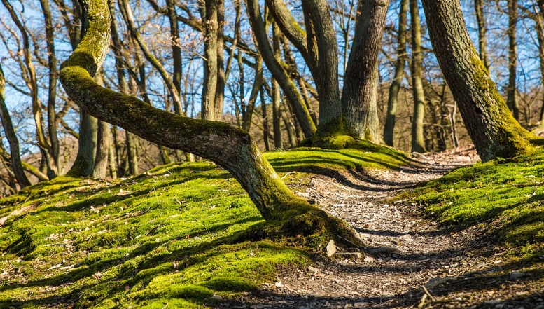 Die Premium-Wanderwege