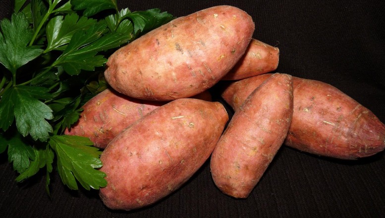 Die trendige Knolle: Mit der Süßkartoffel kommt was Neues in die Küche