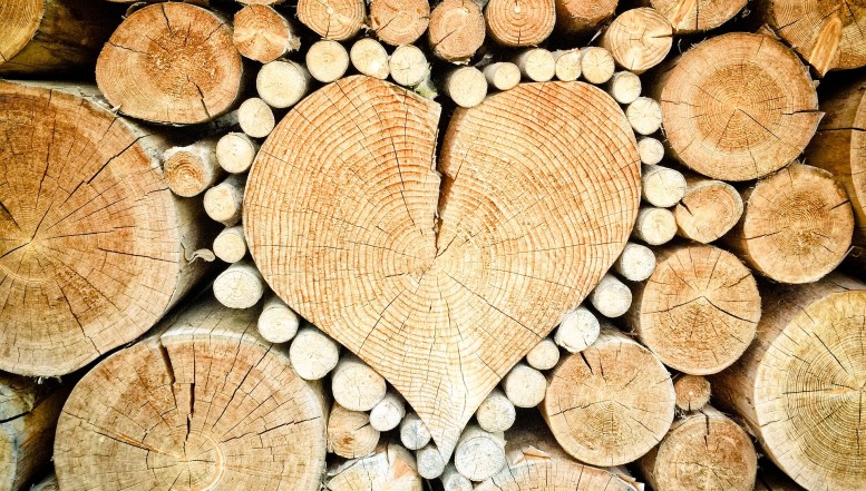 Die Vorteile von Holz