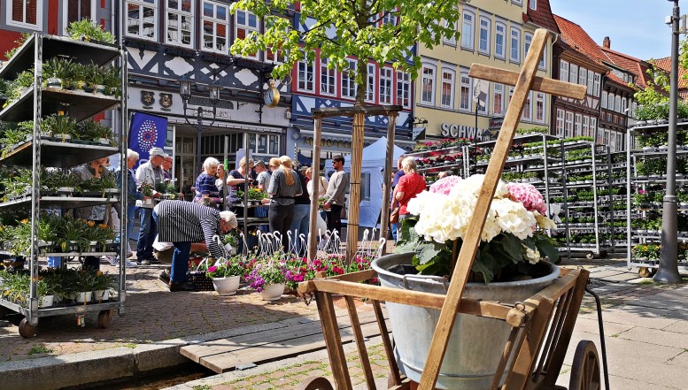 Duderstädter Gartenmarkt lockt im Mai wieder tausende Besucher in die Altstadt