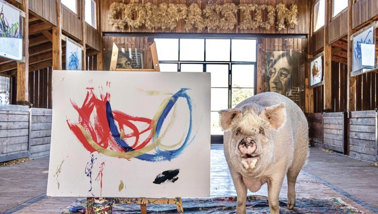 Einzigartiges Kabinett für Kunst und Kurioses wird mobil