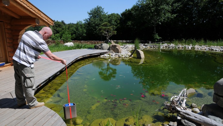 Frischekick für Fische