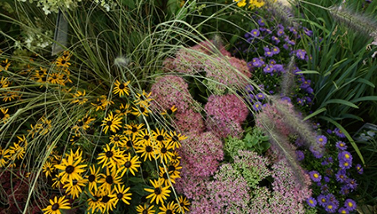 Ideen für den Garten: Beete wie eine Bühne gestalten