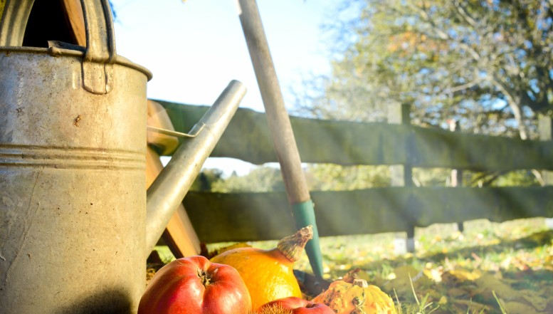 Jetzt den Garten auf die kalte Jahreszeit vorbereiten