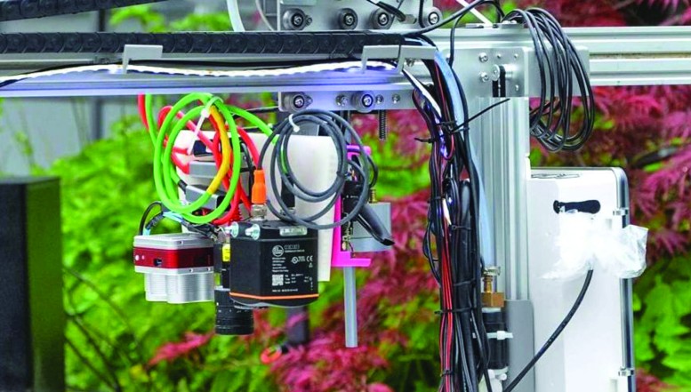 Mit dem Roboter gegen Unkraut