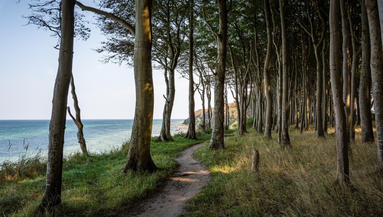 Nachtschicht unter Nordlichtern