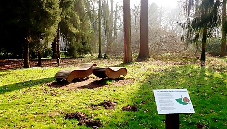 Naturdenkmal wieder ins rechte Licht setzen