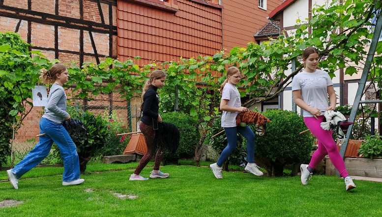 Trend-Sport Hobby Horsing