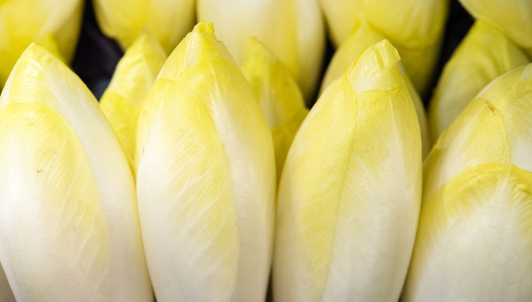 Wintergemüse Chicorée: Lecker, vielfältig und gesund