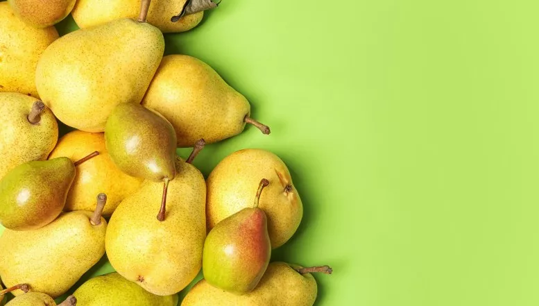 Der süße Alleskönner mit langer Geschichte