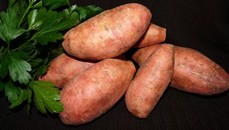 Die trendige Knolle: Mit der Süßkartoffel kommt was Neues in die Küche