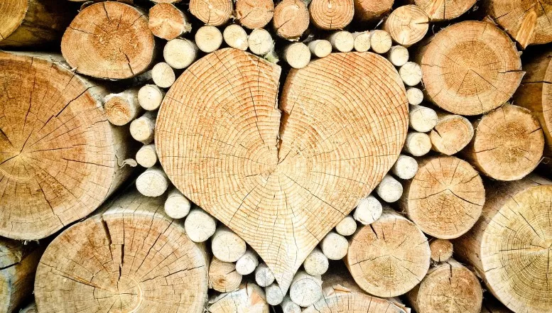 Die Vorteile von Holz