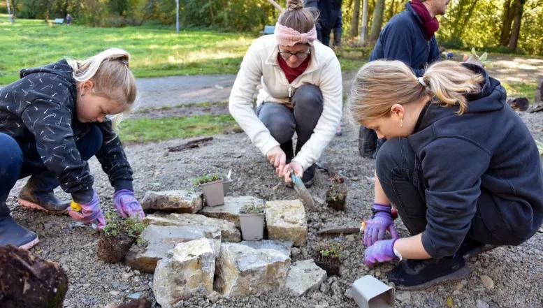 Duderstadt ist Modellkommune für Insektenschutzprojekt