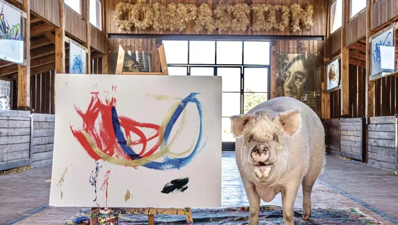 Einzigartiges Kabinett für Kunst und Kurioses wird mobil