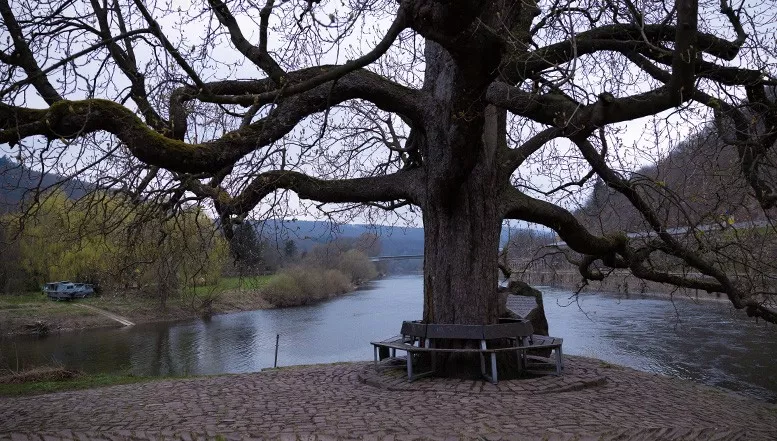 Krimi Hann. Münden - Filmdreh