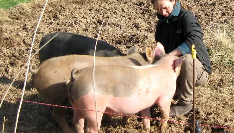 Lernort Bauernhof als  Grundlage fürs Leben