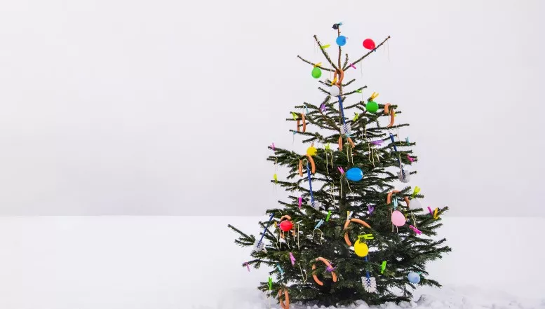 Mundus sucht den  kreativsten Weihnachtsbaum