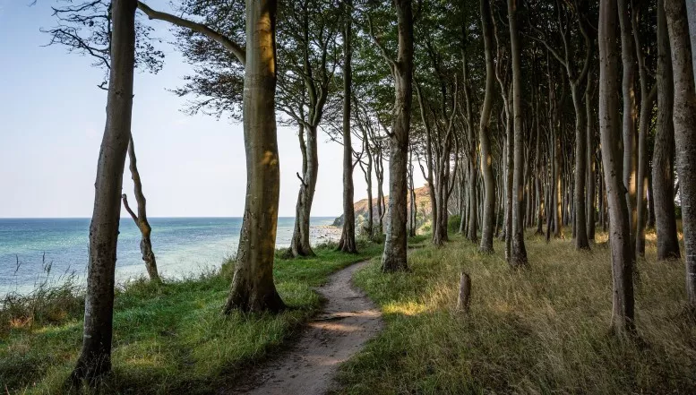 Nachtschicht unter Nordlichtern