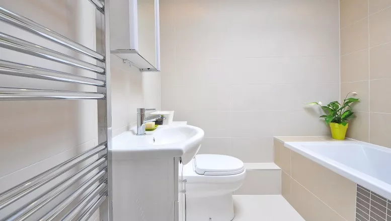 Tabuthema Toilettengang