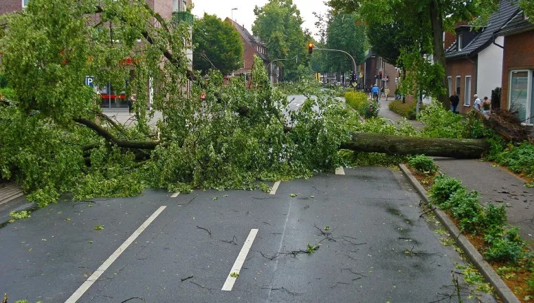 Unwetter/ Sturm - vermehrte Einsätze