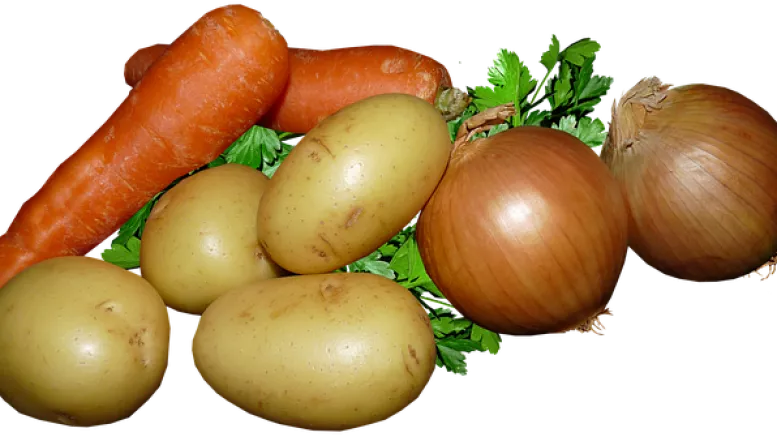 Verhängnisvolles Duo: Zwiebeln nicht neben Kartoffeln lagern