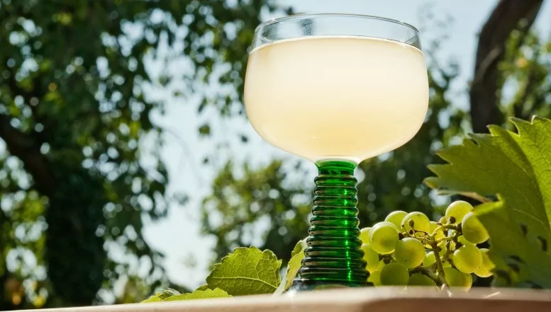 Wenn der Traubensaft zu rauschen beginnt