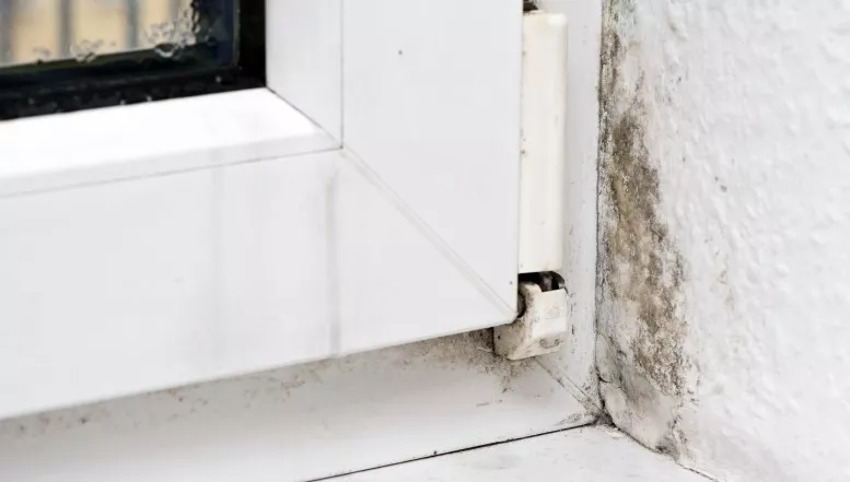 Winterkälte ideal für Sporen